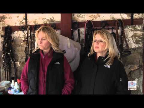 Animal Communication - Watch more episodes - of What Matters Most on http://www.whatmattersmostts.com Emerald DuCoeur has been in deep communication with animals throughout her lif...