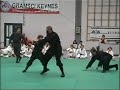 Bujinkan Dojo Prato (Italy) Bujinkan Dojo Prato (Italy)