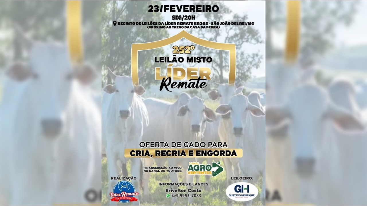 252º LEILÃO MISTO LÍDER REMATE - SÃO JOÃO DEL REI/MG - 23/02/2026