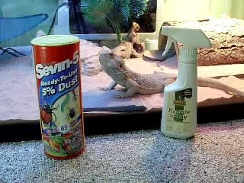 how to treat snake mites