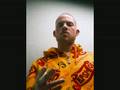 collie budz- burn down de system
