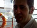 videos de 2008 12 26 53,Índia,Kerala,viaje en barco desde el puerto de Cochin 8 km hacia el mar y vuelta