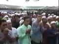 Limaza Johor?