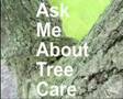 Ask a Arborist Lightning Strike read description