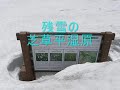 Japanese dog ????/ku ???????