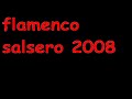 flamenco salsero 2008
