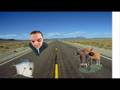 hey dude cow