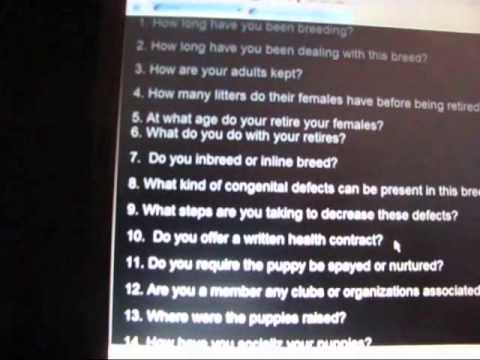 Puppy video 1