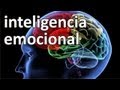 Educando las Emociones - YouTube
