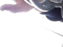 Touchdown [2]