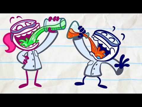 動画