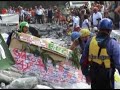Carton Rapid Race 2005