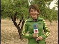 BUEN AÑO DE ALMENDRA Y ALBARICOQUE