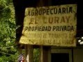 videos de Apéndice Rabo torcio
