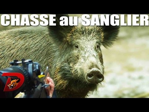 Battue - petit montage
