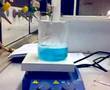 Blau-Gold-Reaktion