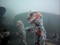 Chinese Traditional Lion Dance