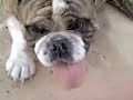 ?????????????????????Video