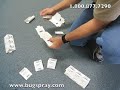 Lizard Glueboard