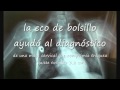 Saccule Of The Thyroid Gland Saccule Of The Thyroid Gland