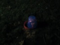 The Everyday American: Fun with Fireworks