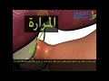تشريح الجهاز الهضمي - الجزء الثالث