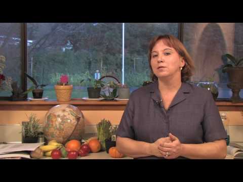 how to transplant san pedro cactus