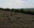 Teren de vanzare in Sinca - 250ha - 3eur/mp