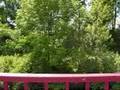Idyllic Erie Canal Boat Ride