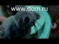 Haddaway - Fly Away
