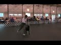 Kinsey - Canine Dressage Kinsey - Canine Dressage
