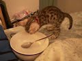 Mindi-Discovers-The-Spoon