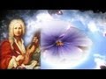 4 Jahreszeiten (Antonio Vivaldi) (3) Sommer Four Seasons