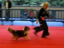 Paulette et Anouck - la Beaujoire 2008 - oberythmee (dog dancing)