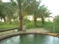 Siwa Oasis Safari
