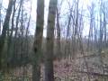 Hambone Outfitters-Preparation & Setup w/daughter Clarissa_part 1