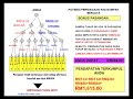 PELUANG MENAMBAH PENDAPATAN