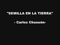 Semilla en la tierra