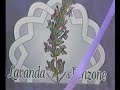 Gemona e Venzone