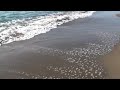 Meditation Near The Ocean Meditation Near The Ocean