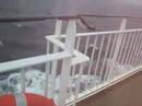 n�thie et julie sur le ferry, super creuv� parce qu'� peine arriv�es de l'a�roport de montr�al/paris, qu'elles ont pris la route pour cherbourg et hop...direct to ireland !