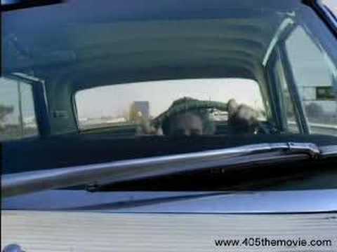 airliners • funny airplane funny airplane. airliners • funny airplane