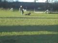 videos de Bona Vom Wolfsheim Video