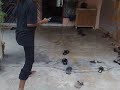 shuffle