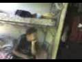 videos de DODOU 2