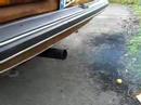Ascona-rost-3-0-24v-