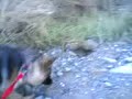 potamos deftera