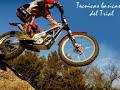 Tecnicas Basicas del Trial