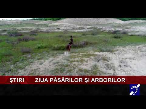 Ziua Păsărilor și Arborilor