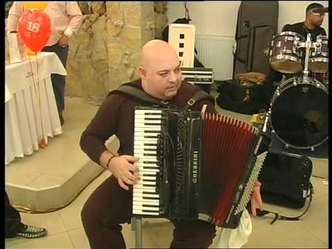 gorila